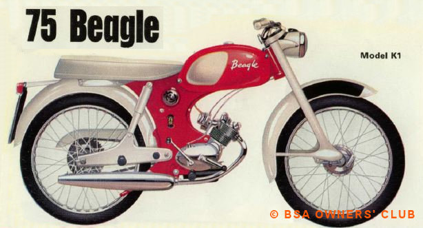 75 Beagle