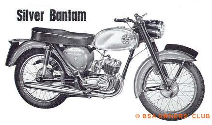 Silver Bantam